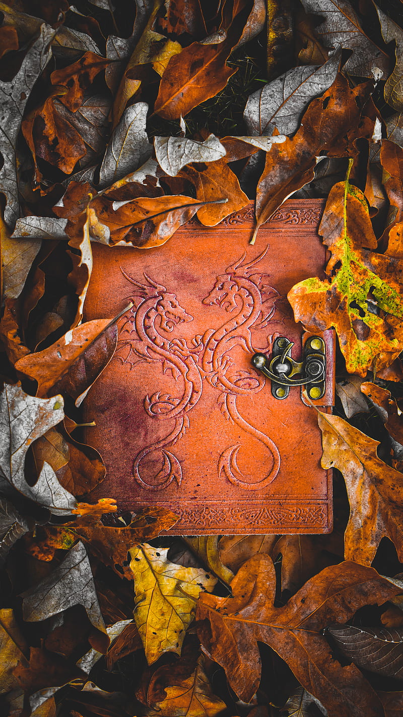 Sketching In fall, autumn, book, books, dragon, leaves, middle age, mood, sketch, warm, HD phone wallpaper
