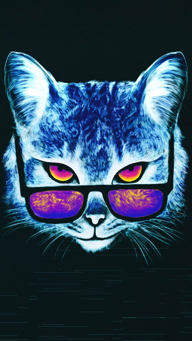 Cat007, gato, gatos, fresco, lindo, vidrio, gafas, Fondo de pantalla de  teléfono HD | Peakpx