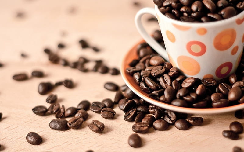Coffee brown, cup, coffee beans, coffee bean, cups, HD wallpaper