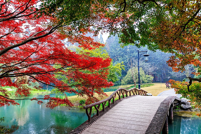 Beautiful park in autumn, autumn, serenity, bridge, garden, bonito, park, trees, lake, pond, HD wallpaper
