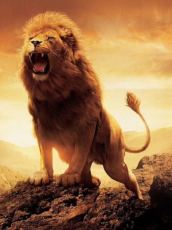 Aslan the lion of narnia