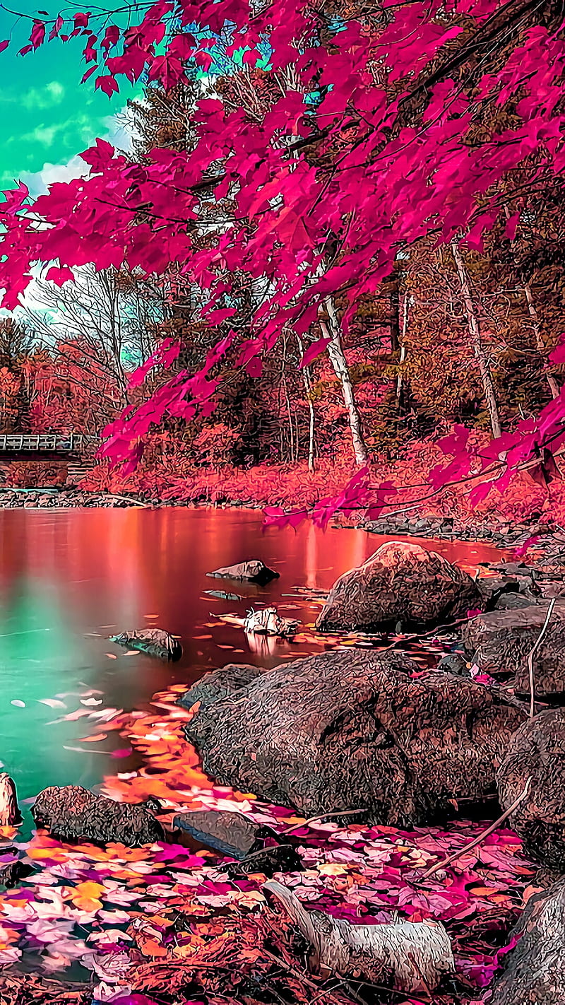Autumn, fall, lake, leaf, maple, nature, rock, sky, water, HD phone wallpaper