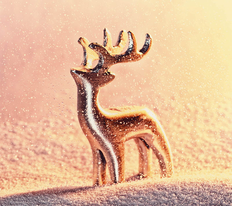 Winter Reindeer Snowy Wallpaper  Deer wallpaper Wallpaper Animals