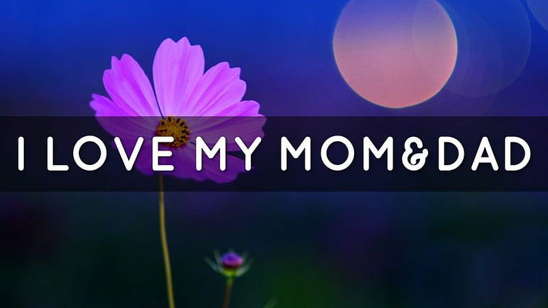 I Love My Mom And Dad With Purple Flower Background Mom Dad, HD wallpaper