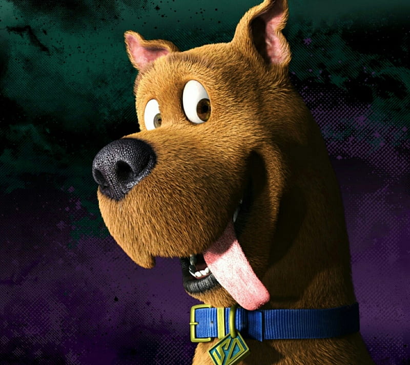 Scooby Doo, dog, pets, anime, cartoon, HD wallpaper