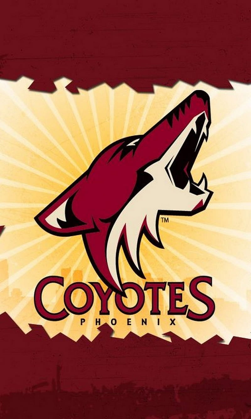 Arizona Coyotes hockey logo HD phone wallpaper  Peakpx