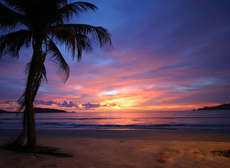 Beach1 1. jpg, beach, palmtree, sunset, romantic, HD wallpaper