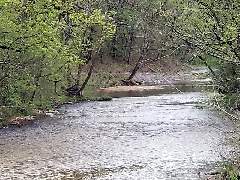 Overflow, Rural, Creek, Tennessee, Nature, HD wallpaper