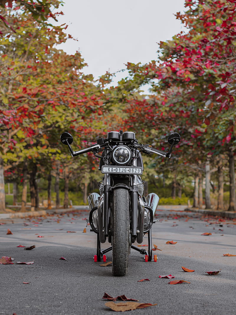 Motorcycle, bike, black, front view, asphalt, leaves, HD phone ...
