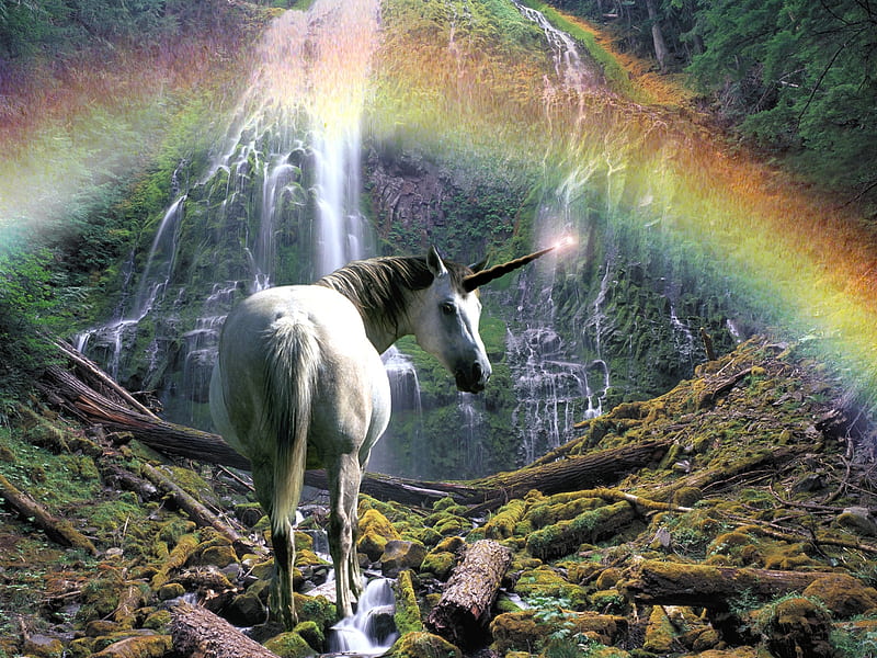 unicorn, fantasy, a rainbow, nature, a forest, HD wallpaper