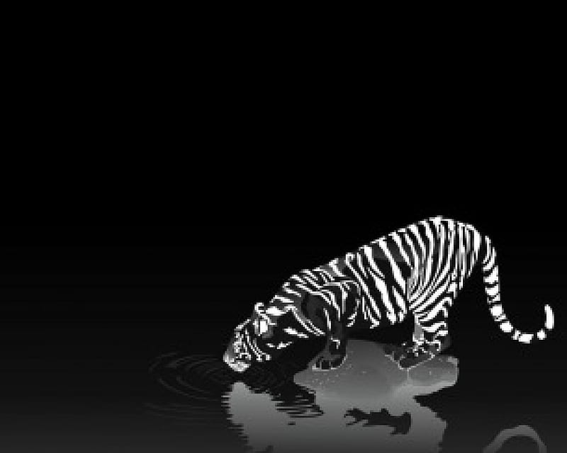 Tiger, art, cg, black and white, black, abstract, animal, 3d, white, HD wallpaper