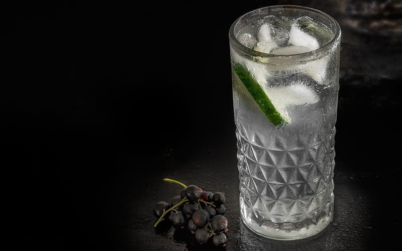 Gin and Tonic Cocktail, darkness, macro, cocktails, glass with drink, Gin and Tonic, Glass with Gin and Tonic, HD wallpaper