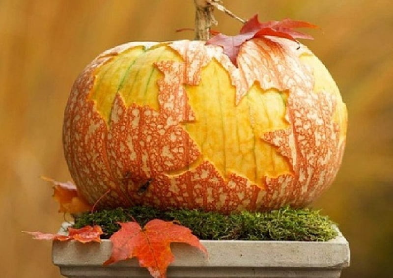 fall decoration, fall, nature, decoration, pumpkin, HD wallpaper