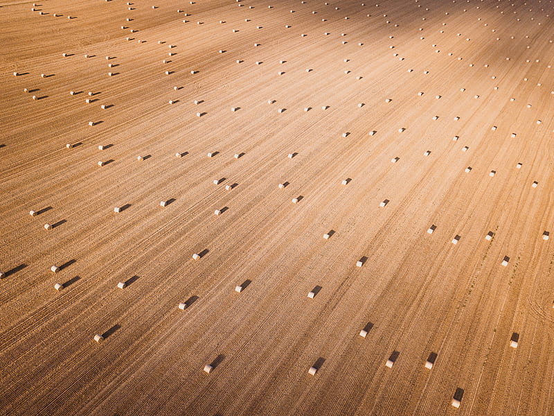 brown parquet floor, HD wallpaper