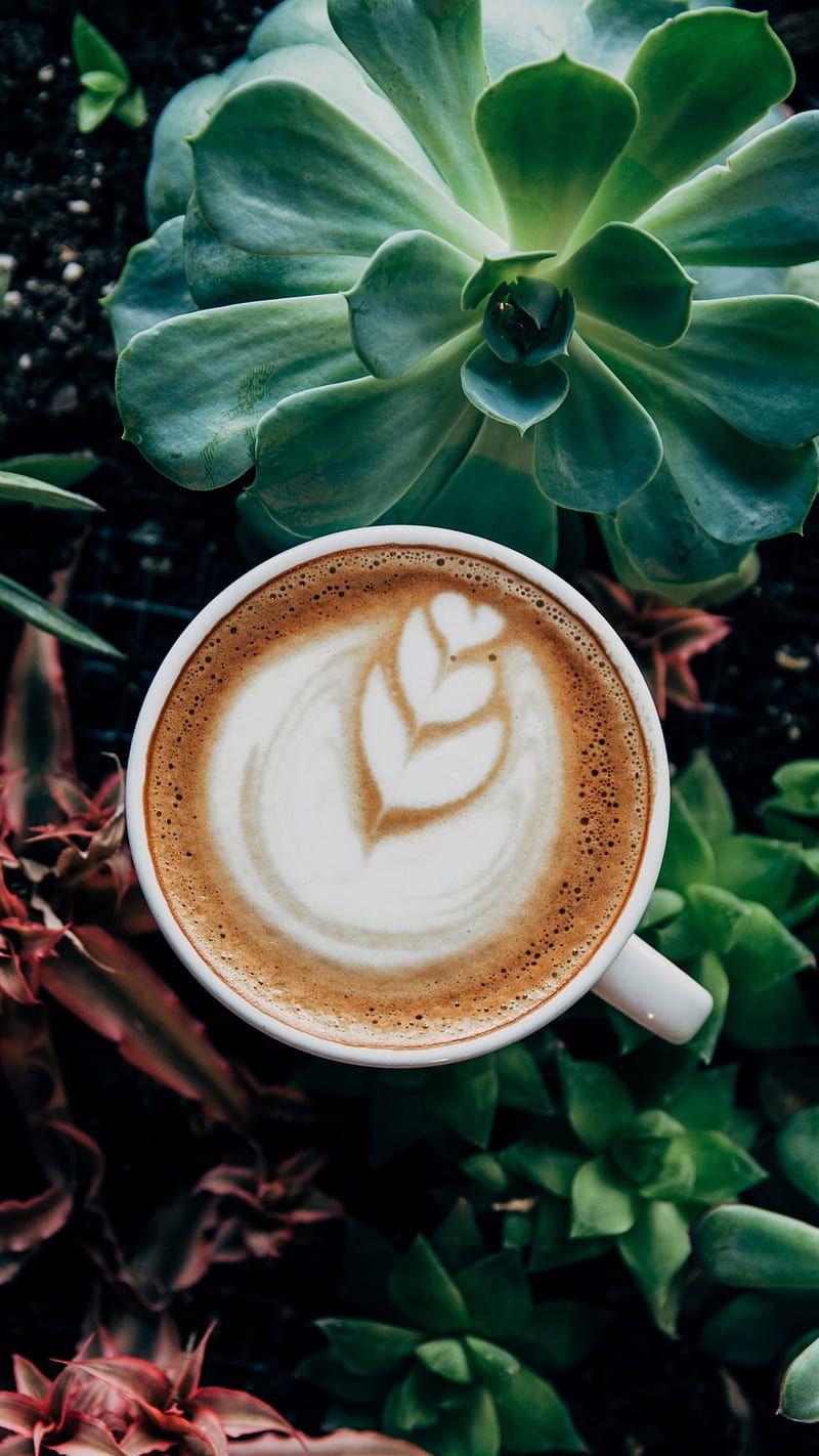 Coffee Mug , plants, foam, food, green, coffee mug, HD phone wallpaper
