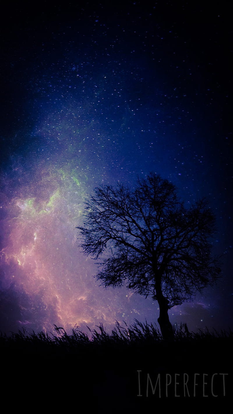 Phantasmal Tree, starry, sky, aurora, nature, night, stars, HD phone wallpaper