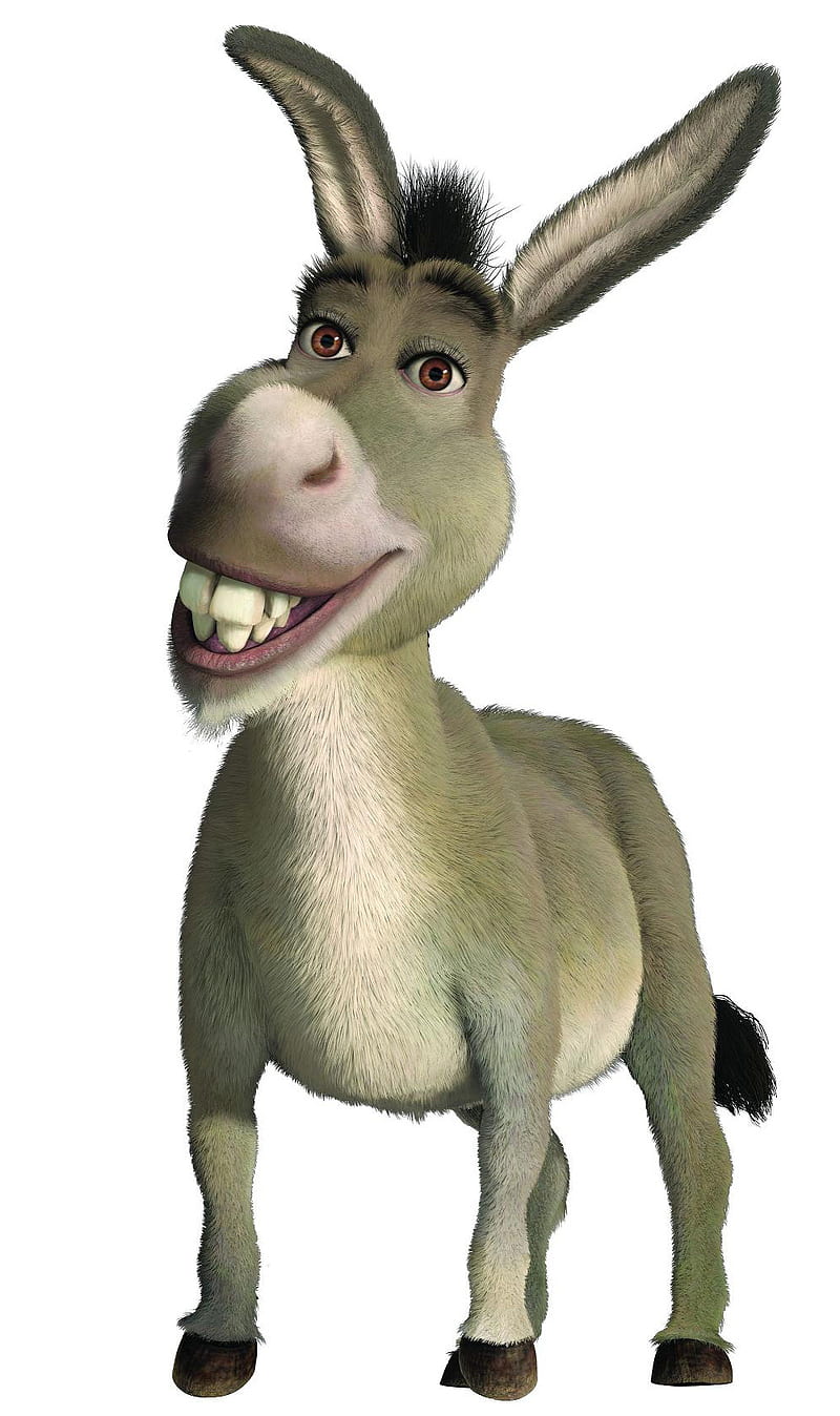 HD shrek and donkey wallpapers