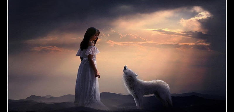 MY FRIEND THE WOLF, bonito, wolf, white, gorgeous, HD wallpaper | Peakpx