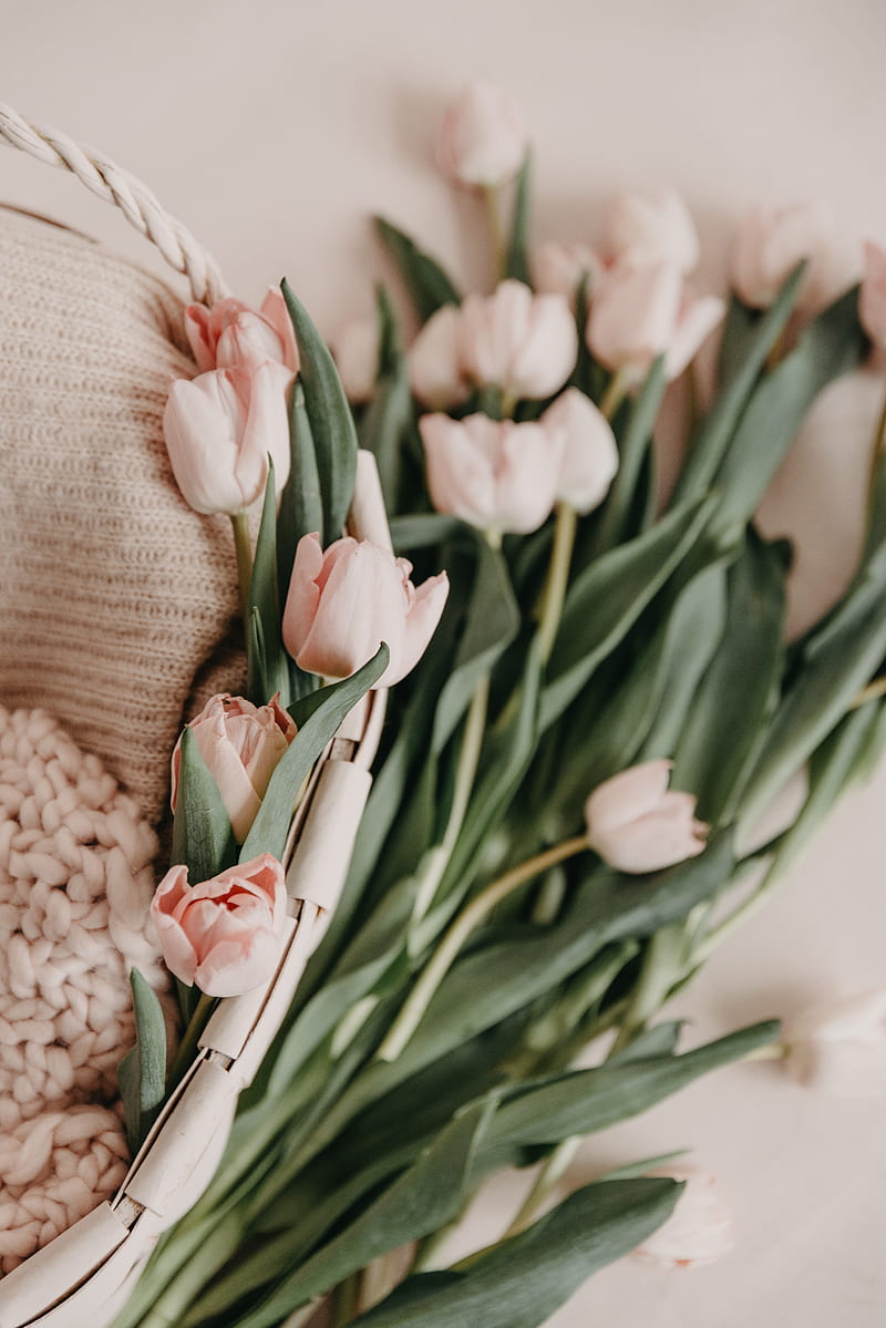 tulips, bouquet, basket, pink, flowers, spring, HD phone wallpaper