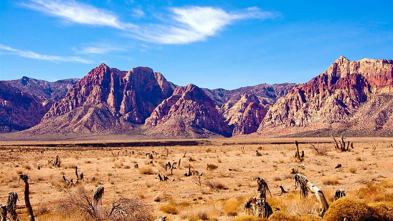 Nevada Desert, nature, desert, entertainment, HD wallpaper