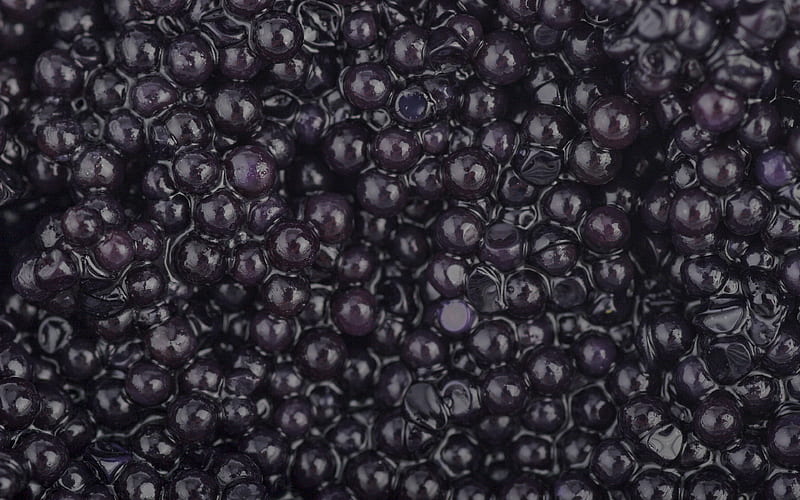 black caviar macro, black caviar background, black caviar texture, black backgrounds, sturgeon caviar, HD wallpaper