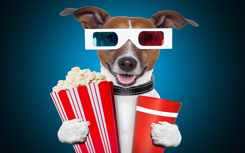 Ready for 3D, popcorn, red, glasses, animal, 3D, jack russell terrier, funny, white, puppy, dog, blue, HD wallpaper