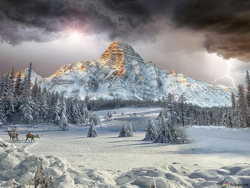 Nature covered with snow, villam, taj, havas fenyok, esofelhok, szarvasok, havas, hegyek, tel, HD wallpaper