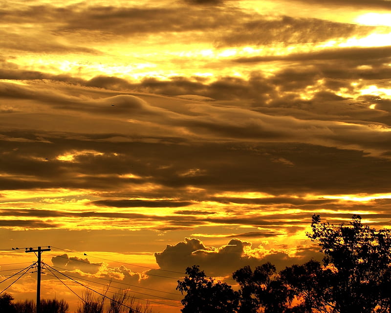 Arizona Evening, telephone pole, birds, sunset, silhouette, clouds, sky, HD wallpaper