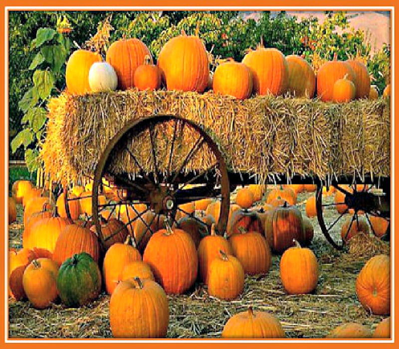 Pumpkin Wagon, Hay, Pumpkings, Orange, Wagon, HD wallpaper | Peakpx