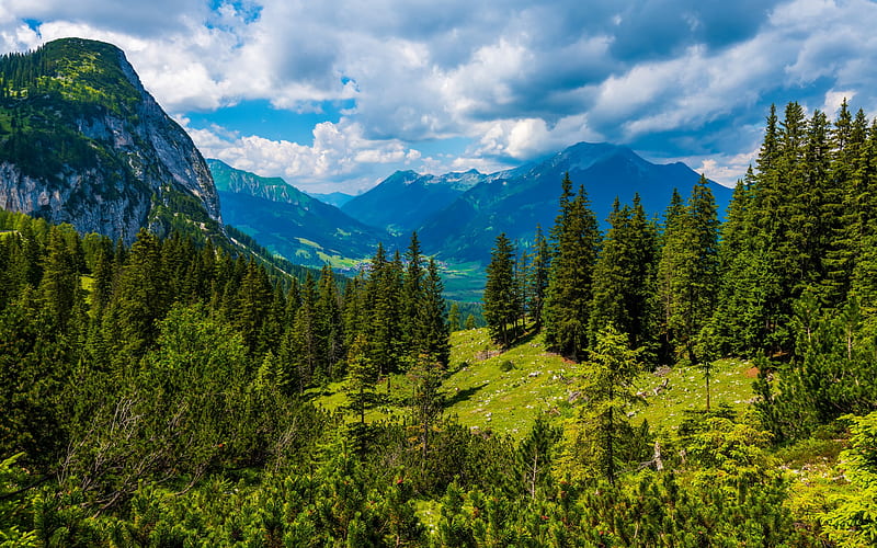 mountain landscape, summer, Alps, valley, green trees, Tyrol, Reutte, Austria, HD wallpaper