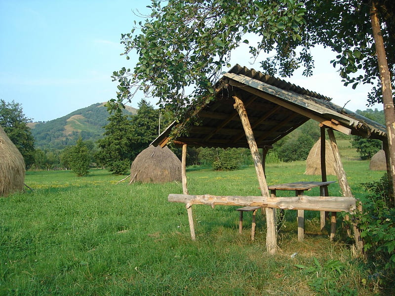 Picnic anyone?, Valea Draganului, lean to, haystacks, Transylvania, Romania, Apuseni, Transilvania, HD wallpaper