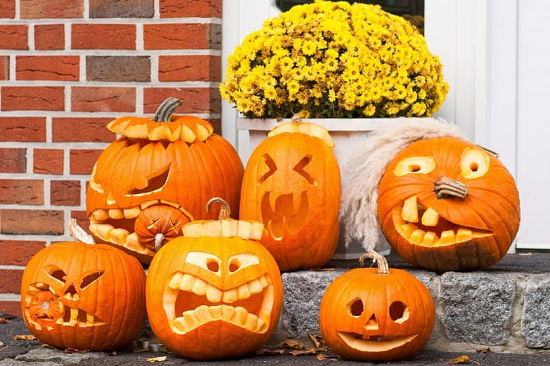 Halloween Decorations, Halloween, Autumn, Mums, pumpkins, HD wallpaper