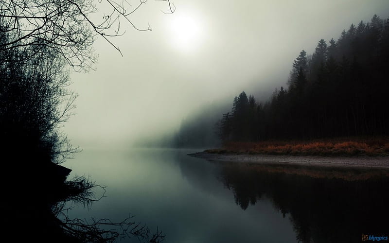 Misty River and Forest, forest, shore, river, misty, trees, HD ...