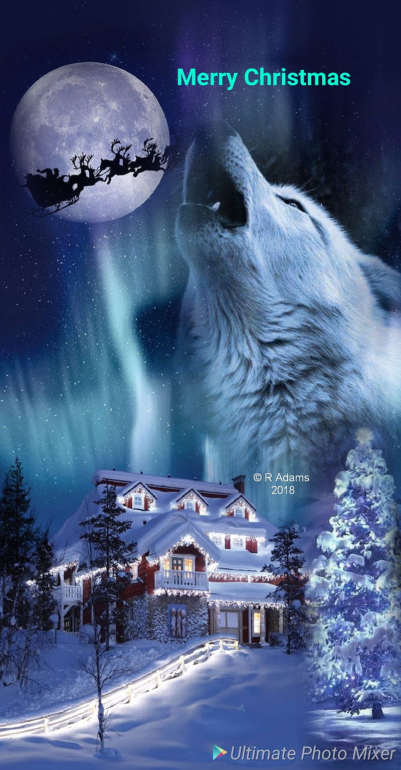Wolf, a christmas wolf, spirit, HD phone wallpaper