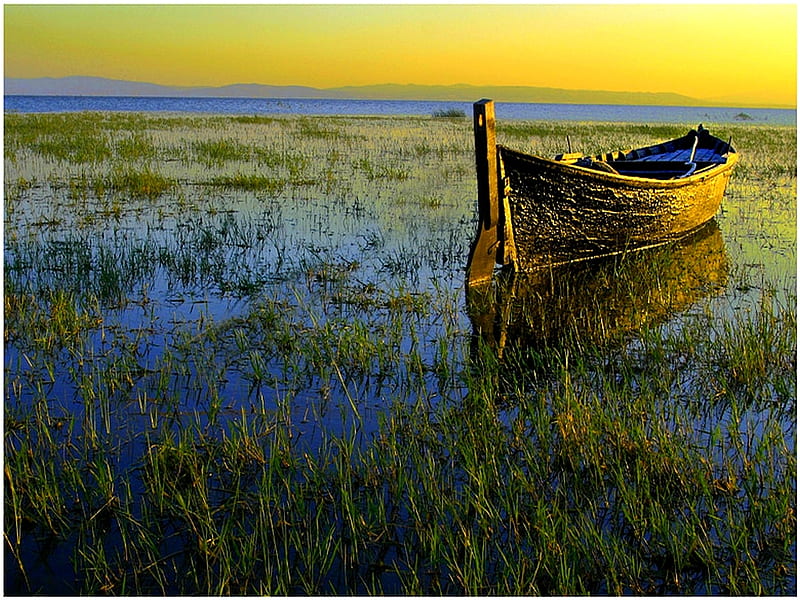 BOAT AT SWAMP, boat, grass, ocean, sunset, swamp, HD wallpaper
