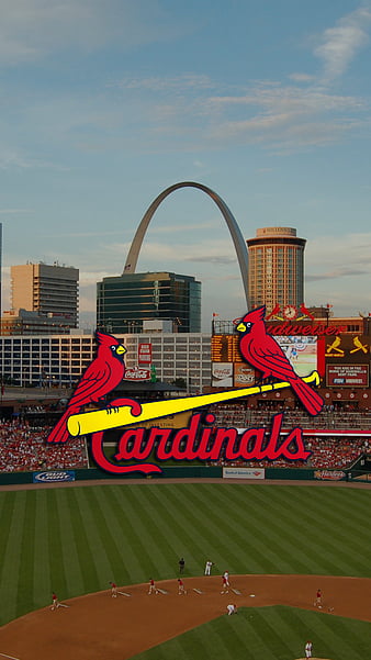 St Louis Cardinals Background Wallpaper 33332 - Baltana