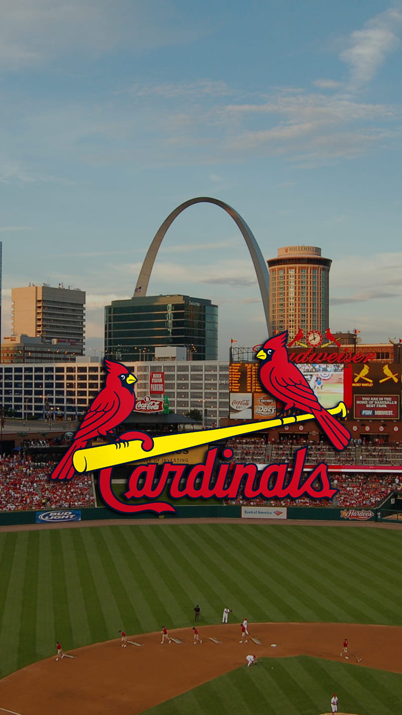 St Louis Cardinals , baseball, cardinals, mlb, HD phone wallpaper