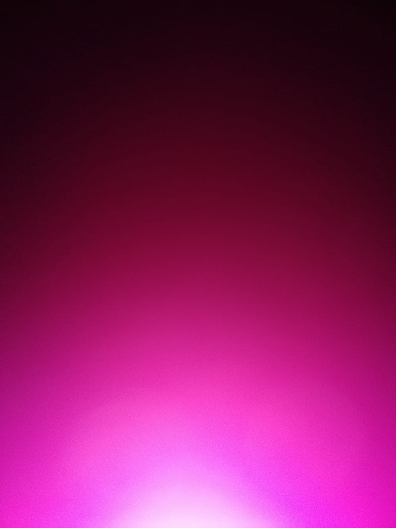 Pink Fade, colors, rose, HD phone wallpaper