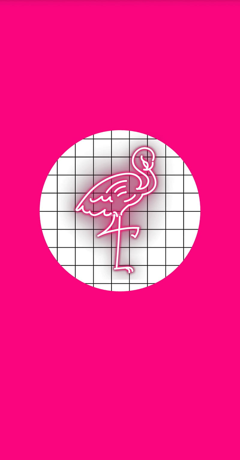 Glow flamingo, aesthetic, neon, pink, HD phone wallpaper