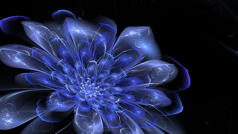 Cool Blue, flower, bonito, Blue, fractal, HD wallpaper | Peakpx