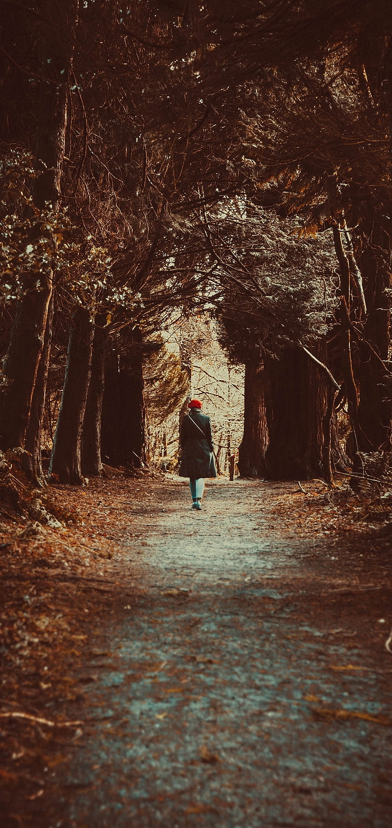 Walking Away, girl, woman, people, nature, park, trees, autumn, mood, path, HD phone wallpaper