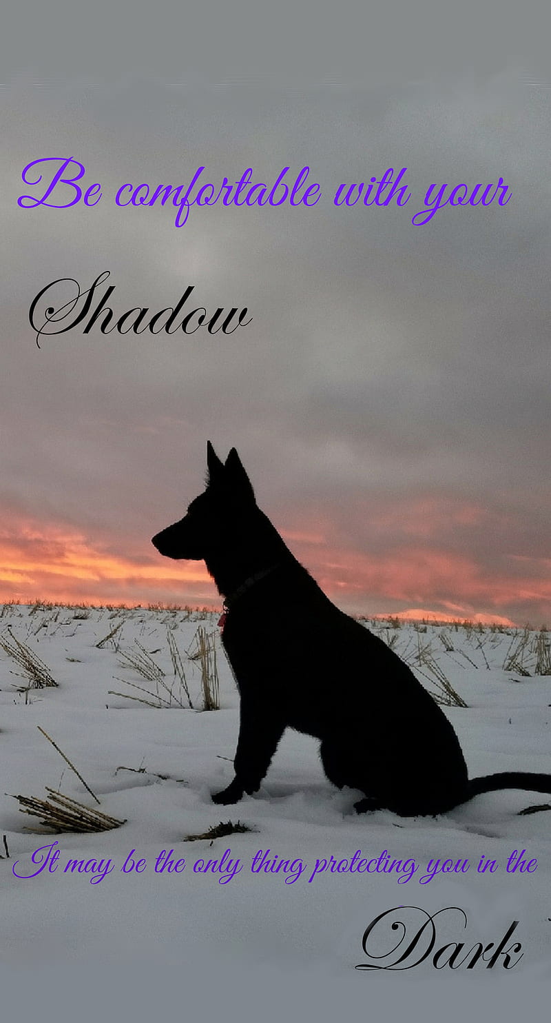 Shadow Wolf, dog, werewolf, magic, paranormal, fantasy, inspiration, HD phone wallpaper