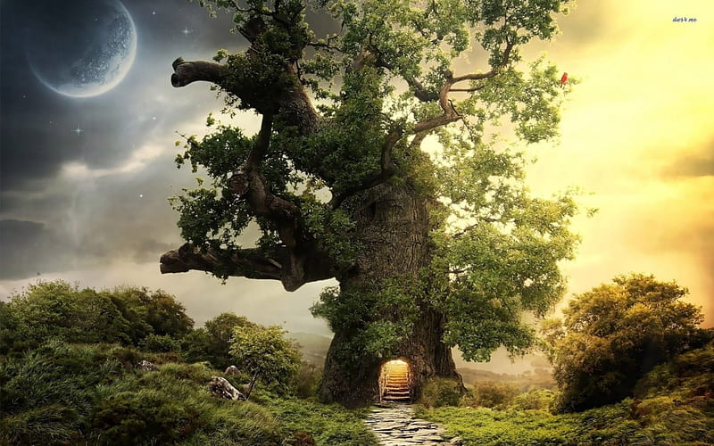 Magical Treehouse, treehouse, tree, fantasy, abstract, HD wallpaper