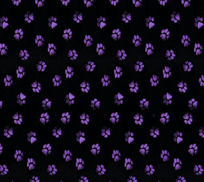 Purple Paws, HD wallpaper