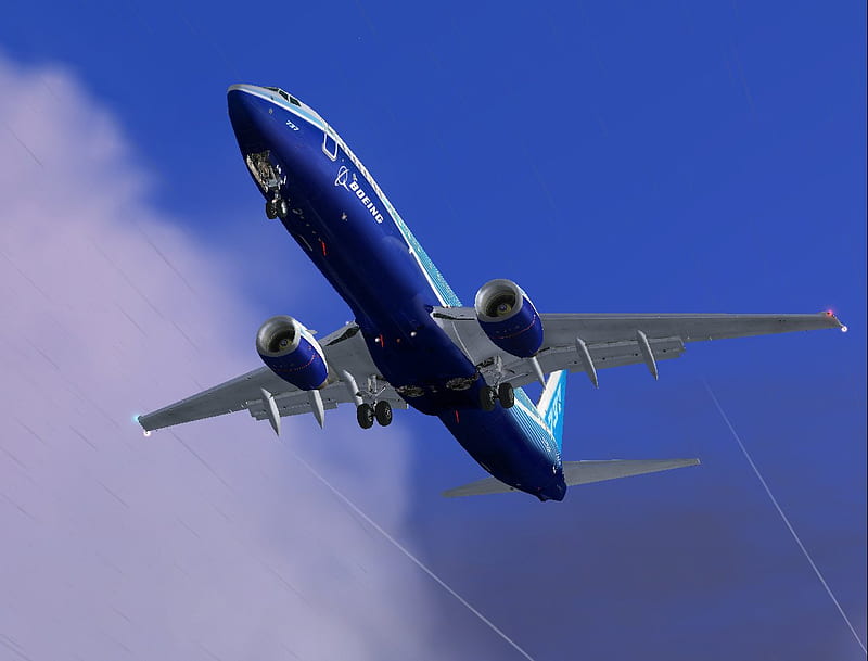 Boeing 737, commercial airplane, airliner, passenger jet, boeing, HD wallpaper