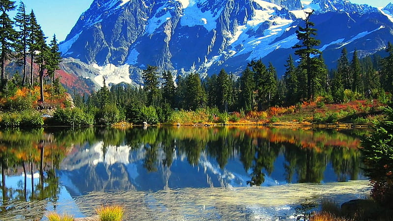 Green Trees Plants Bushes Snow Covered Mountains Reflection On Water Scenery, HD wallpaper