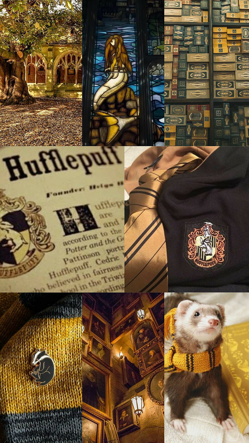 Hufflepuff, casas hogwarts, harry potter, hogwarts, HD phone wallpaper ...