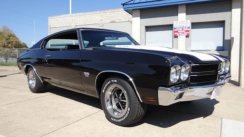 1970 Chevrolet Chevelle SS-396, Old-Timer, Car, Chevrolet, Muscle, Chevelle, SS, 396, HD wallpaper