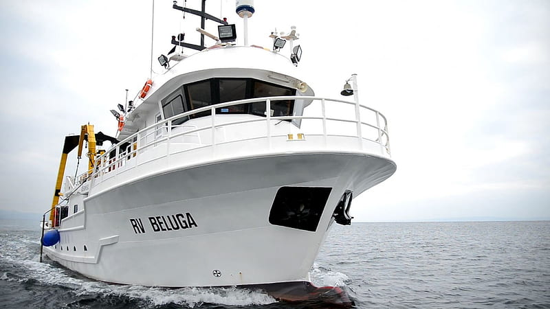 RV Beluga, Boat, Water, Transport, HD wallpaper