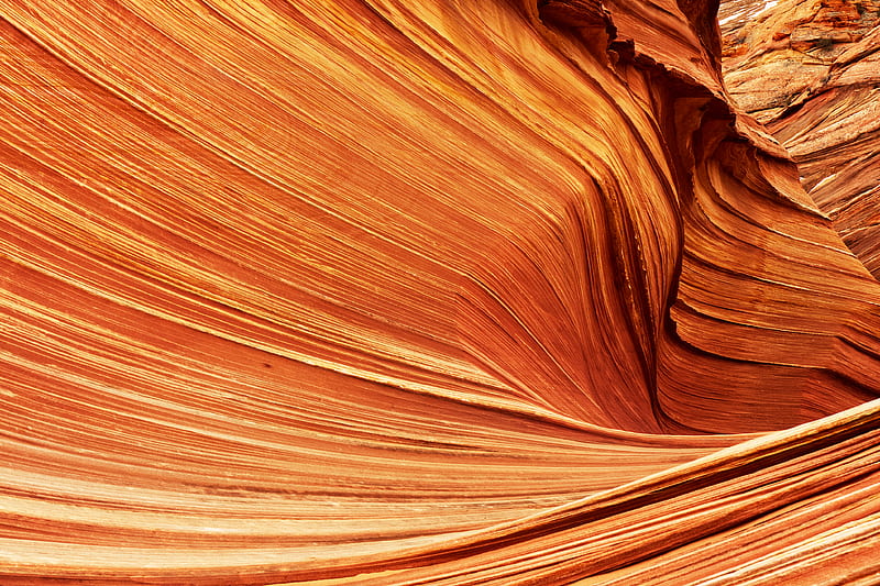 The Wave- Marble Canyon, Arizona, HD wallpaper